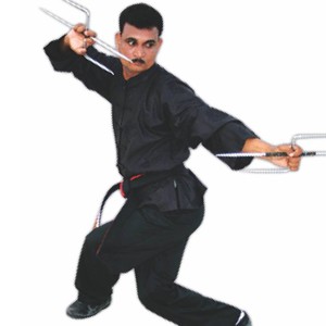 karate master suran